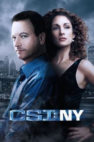 VER CSI: Nueva York Online Gratis HD
