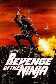 VER La venganza del Ninja (1983) Online Gratis HD